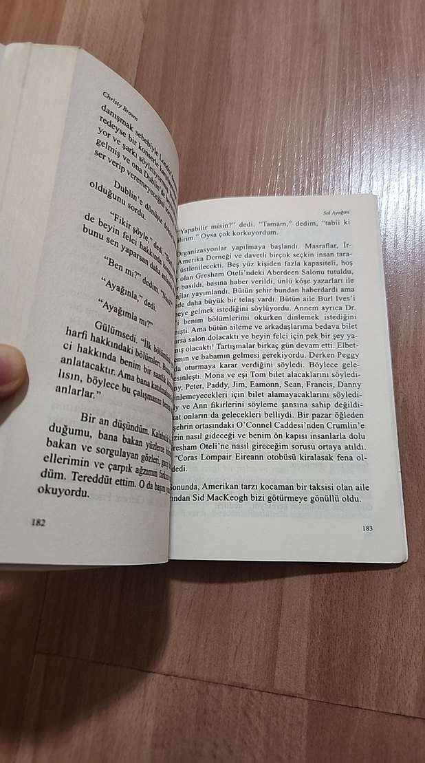 Sol Ayağım - Christy Brown - Görsel 4