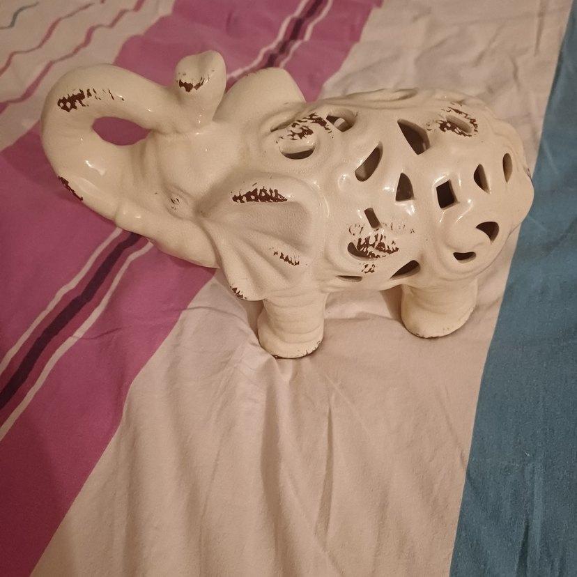 Fil Biblo - Görsel 2