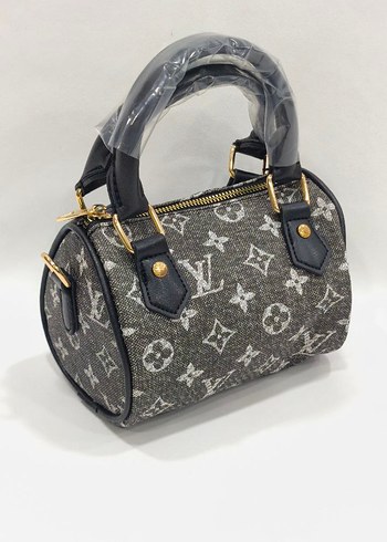 Louis Vuitton Louis vuitton Spedy 17x12