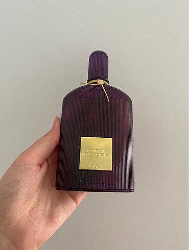 VELVET ORCHİD