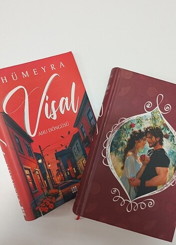 Visal