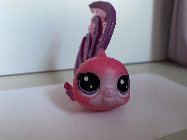 Lps özel seri miniş rosyfish