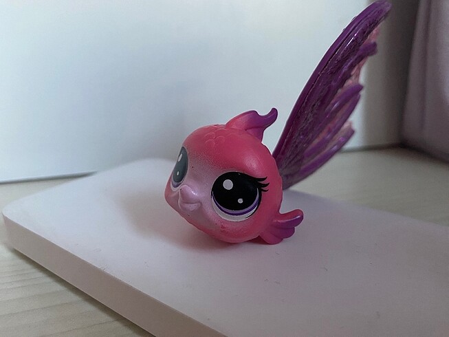 Lps özel seri miniş rosyfish