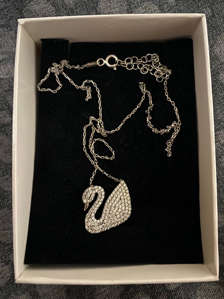 Gümüş, Zincir Detaylı Parlak Kuğu Kolye - Görsel 2