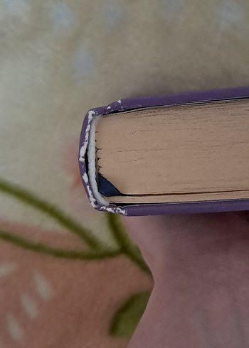 Ötediyar Roman - Görsel 6