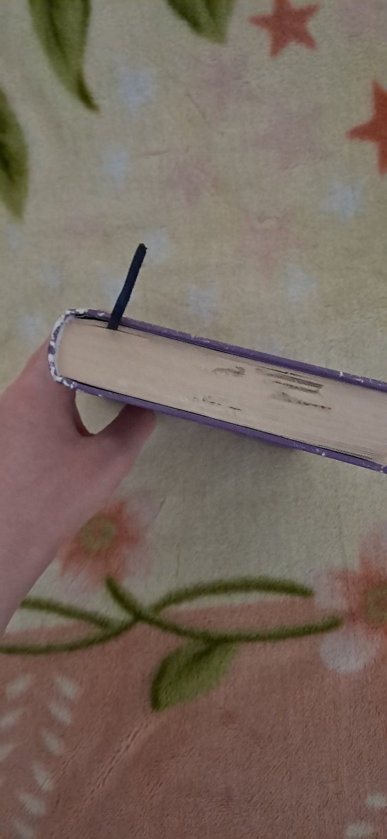 Ötediyar Roman - Görsel 5