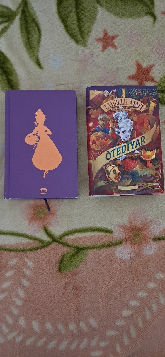 Ötediyar Roman - Görsel 3