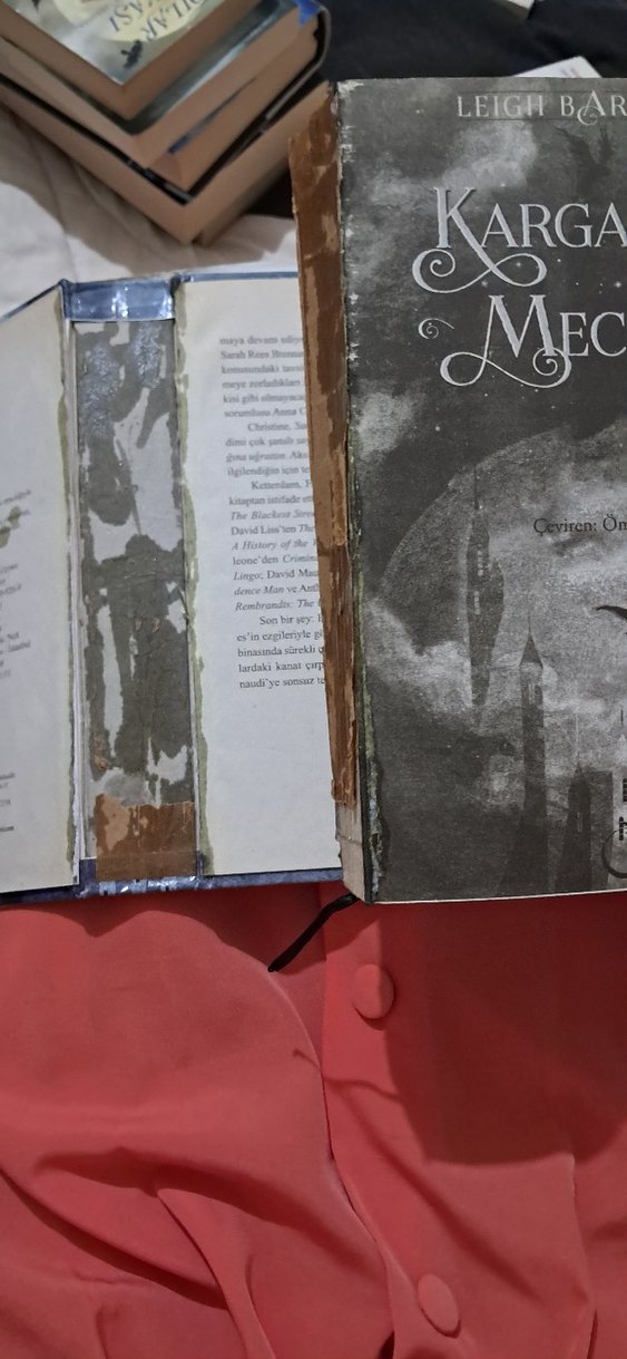 Kargalar Meclisi - Leigh Bardugo - Görsel 4