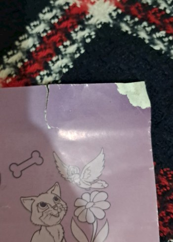 Ben Pamuk! Kedilere Dair Her Şey - Görsel 6