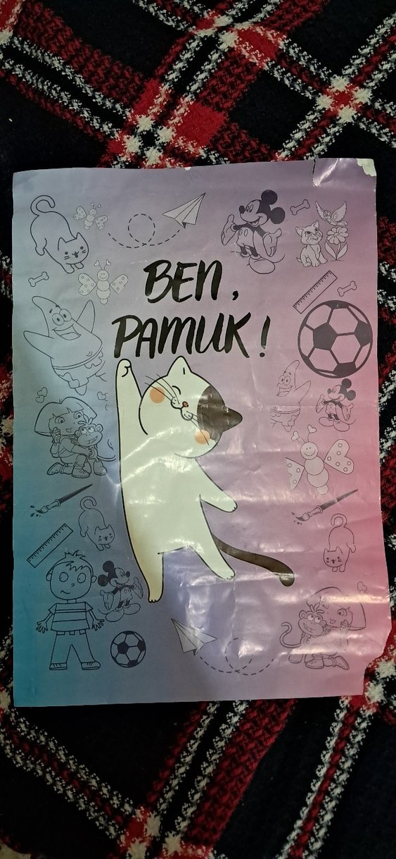 Ben Pamuk! Kedilere Dair Her Şey - Görsel 4