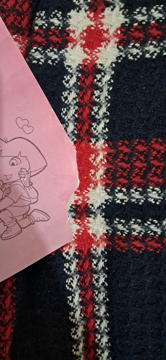 Ben Pamuk! Kedilere Dair Her Şey - Görsel 5