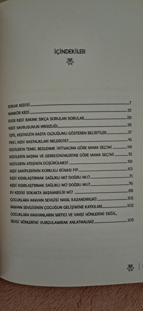 Ben Pamuk! Kedilere Dair Her Şey - Görsel 3