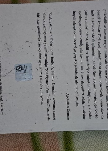 Namık Kemal'in Intibah Romanı - Görsel 2