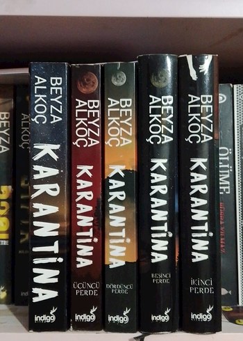 Beyza Alkoç - Karantina Roman Serisi