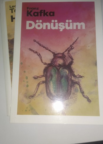 Klasik Edebiyat Üniversite Kitapları Seti - Görsel 5