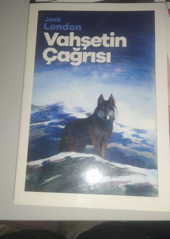 Klasik Edebiyat Üniversite Kitapları Seti - Görsel 8