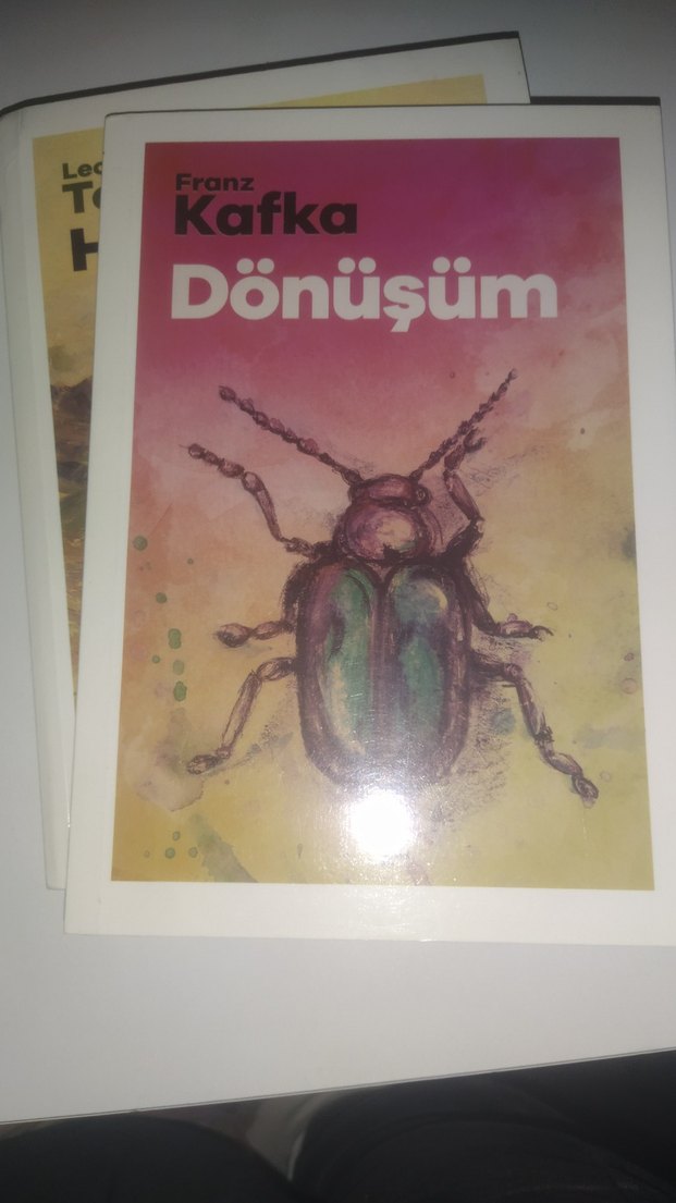 Klasik Edebiyat Üniversite Kitapları Seti - Görsel 5