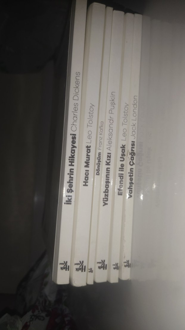 Klasik Edebiyat Üniversite Kitapları Seti - Görsel 2