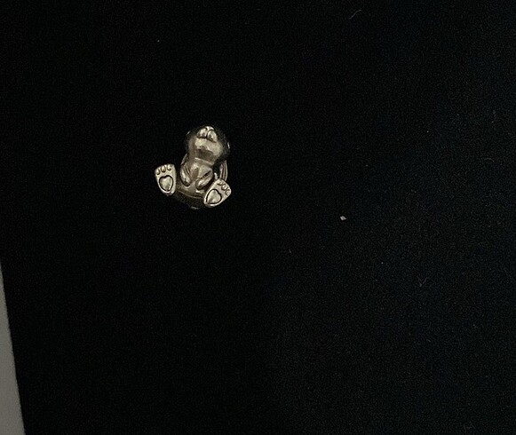pandora charm