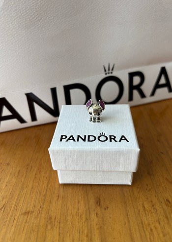 Beden gri Renk Gümüş Pandora Charm