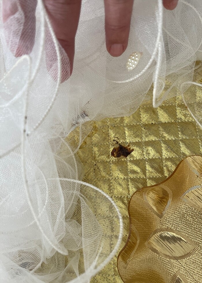 Sünnet , kına  tepsisi - Görsel 4