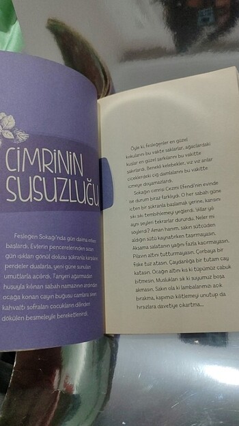  Fesleğen sokağı