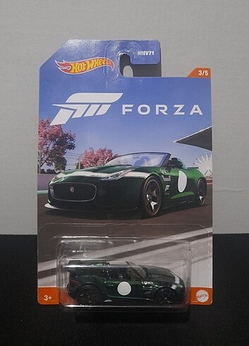  Beden Renk Hot Wheels Forza