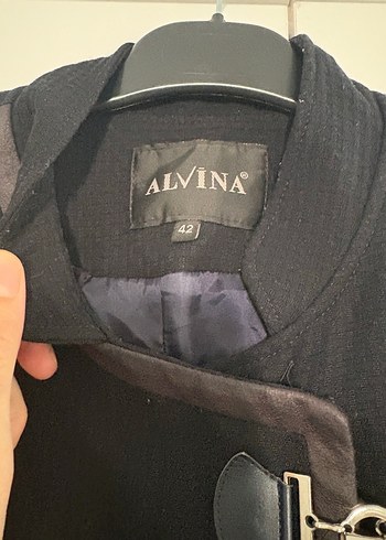 Alvina pardesü - Görsel 5