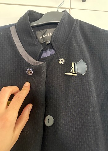 Alvina pardesü - Görsel 8