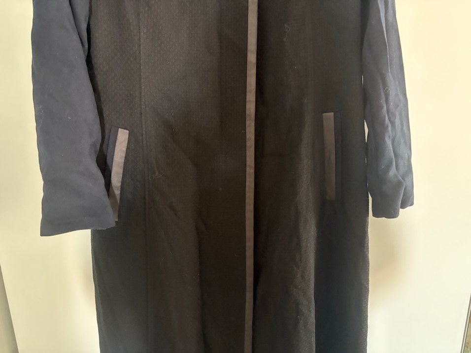 Alvina pardesü - Görsel 3