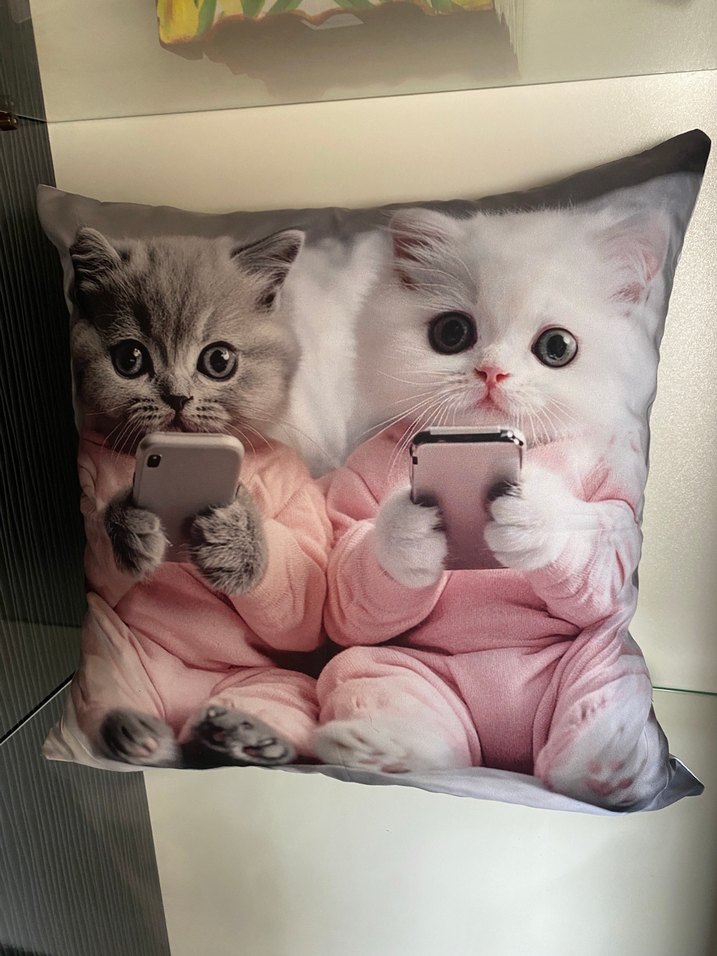 Kedi baskılı dekoratif yastık - Görsel 5