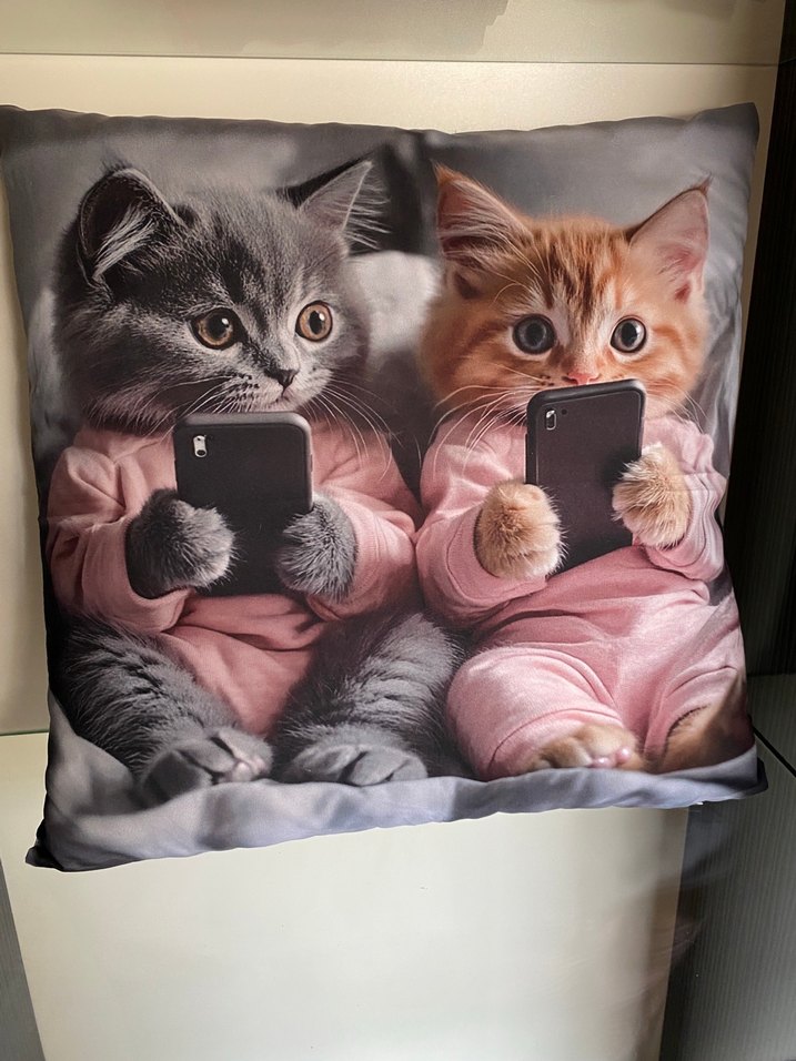 Kedi baskılı dekoratif yastık - Görsel 3