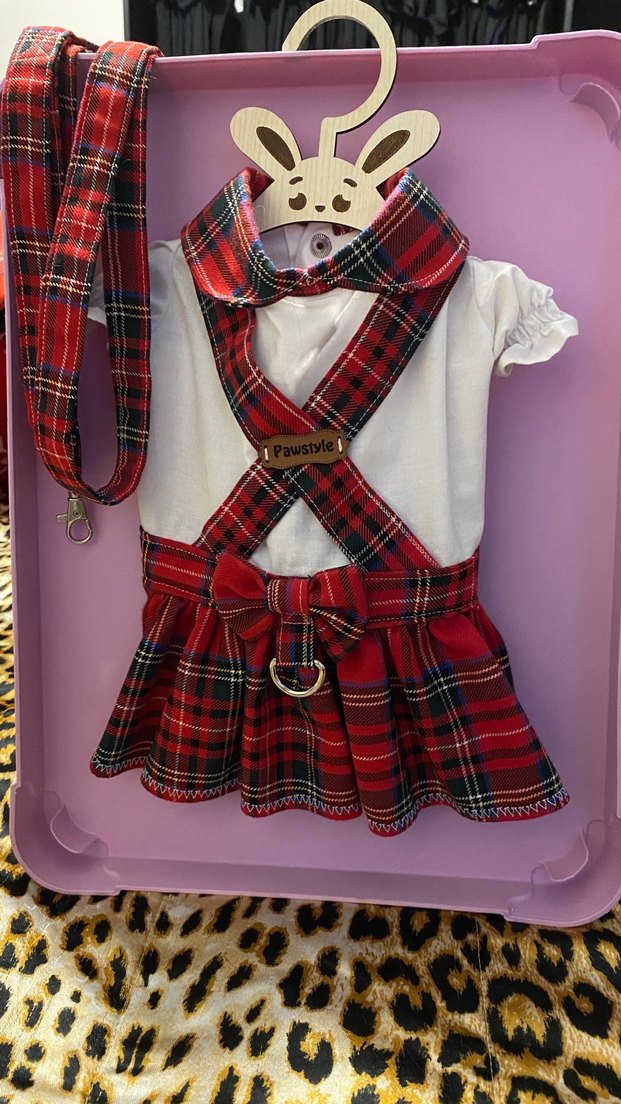 Renkli Baskılı Kırmızı Köpek Göğüs Tasmalı elbise - Görsel 4