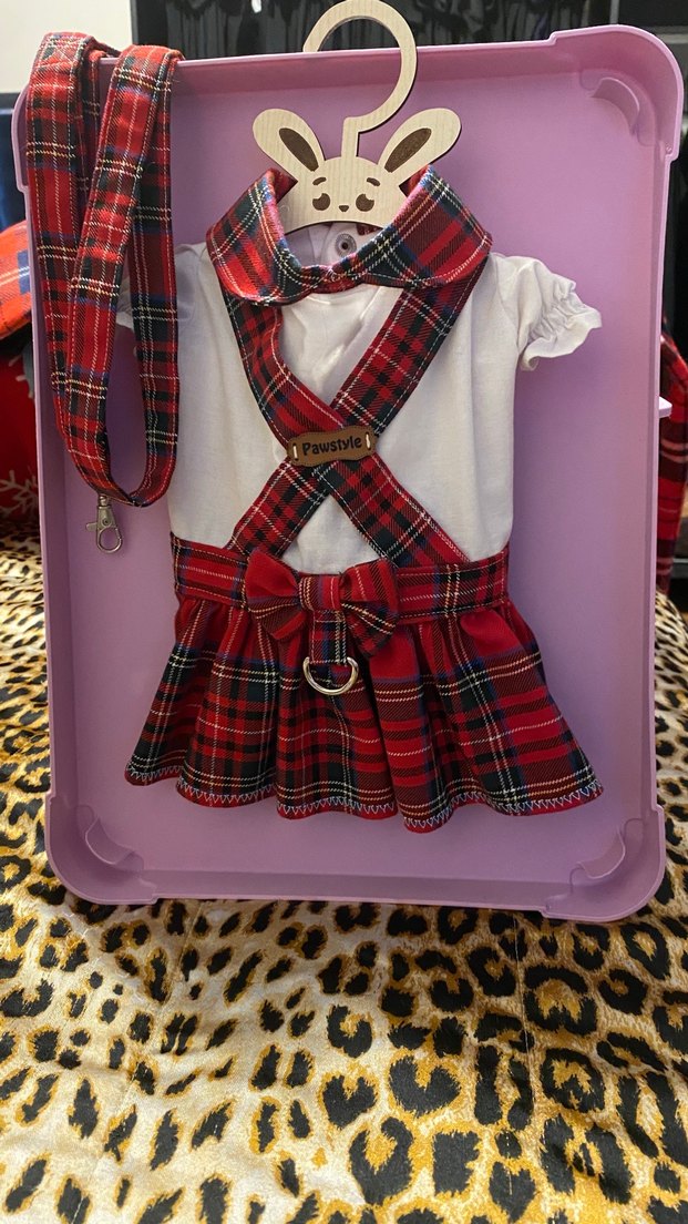 Renkli Baskılı Kırmızı Köpek Göğüs Tasmalı elbise - Görsel 3