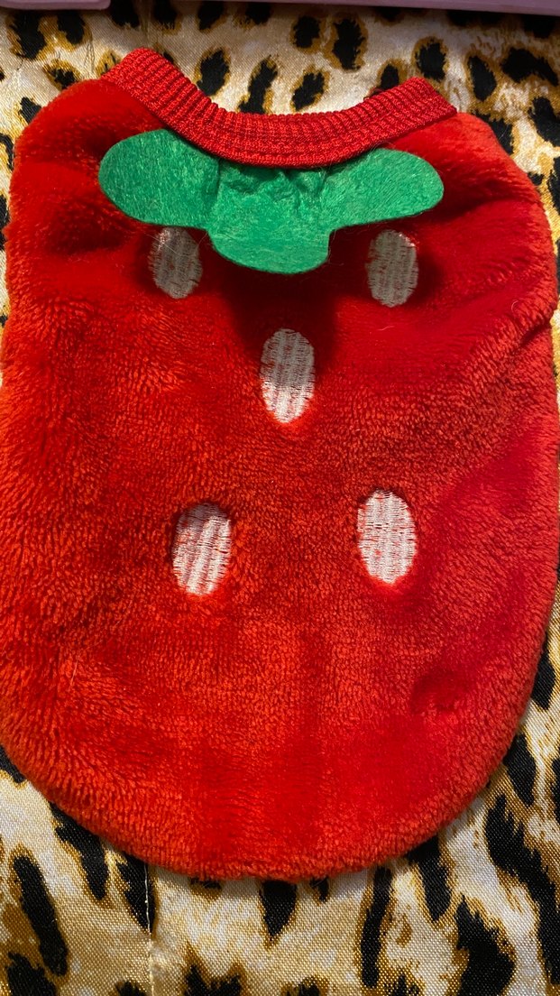 Renkli Peluş Pop Kültür Köpek Kıyafetleri - Görsel 2