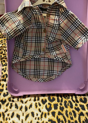 Renkli Baskılı Pop Kültür Köpek Kıyafeti - Görsel 13