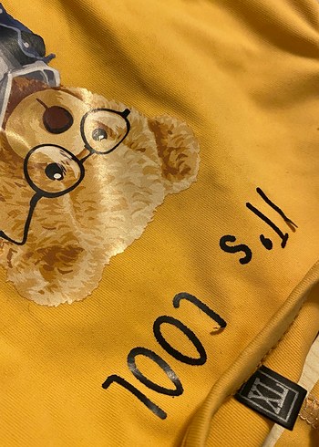 Sarı Erkek Çocuk Baskılı köpek kıyafeti XL - Görsel 3