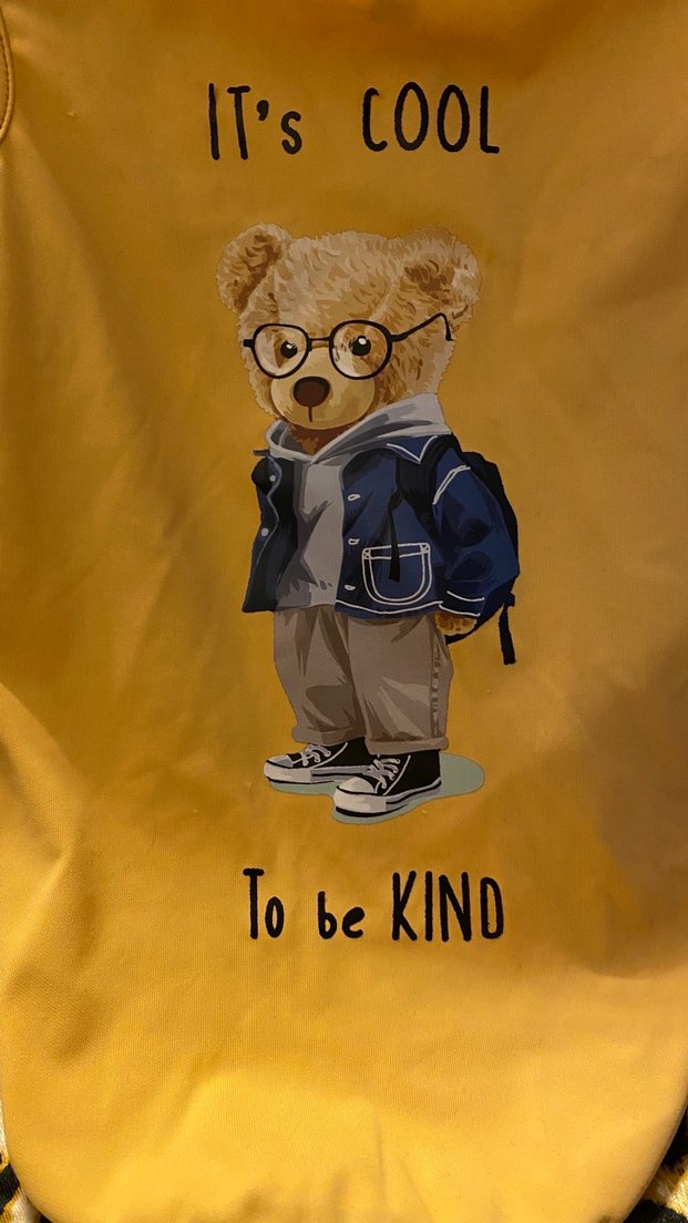 Sarı Erkek Çocuk Baskılı köpek kıyafeti XL - Görsel 2