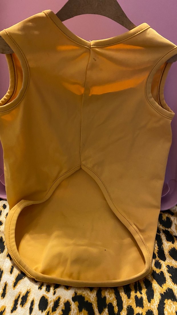 Sarı Erkek Çocuk Baskılı köpek kıyafeti XL - Görsel 4