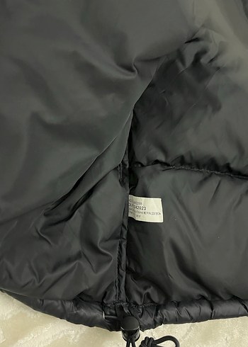 Siyah Erkek Şişme Mont The North Face - Görsel 6