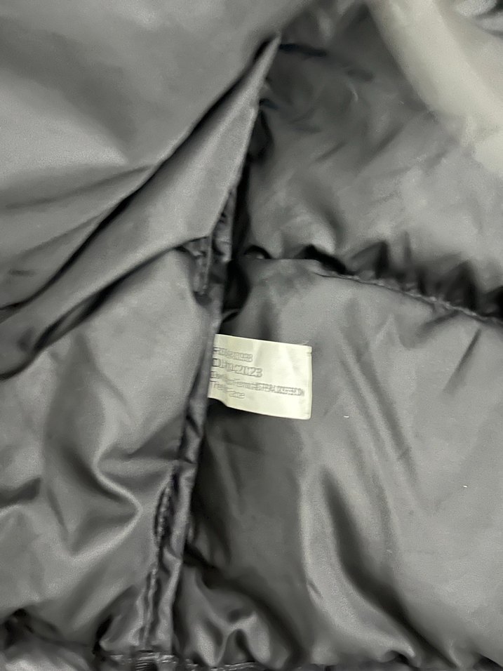 Siyah Erkek Şişme Mont The North Face - Görsel 5