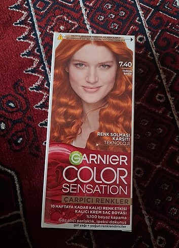 Garnier sac boyasi