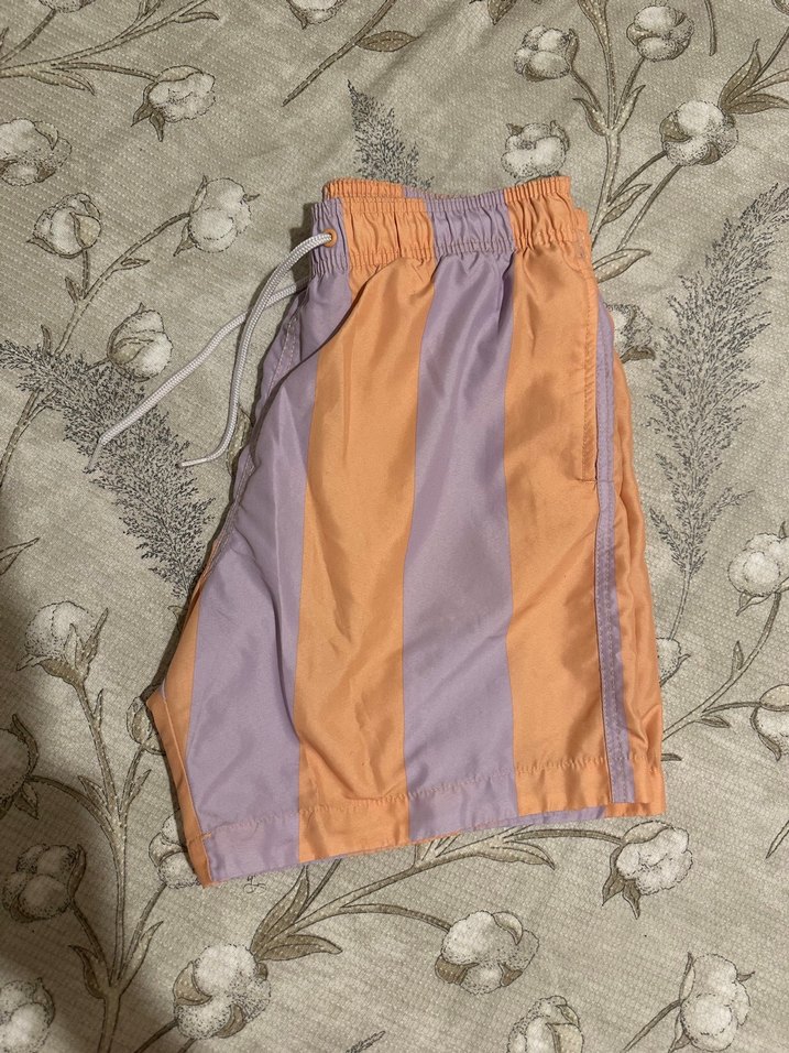 Erkek Çok Renkli Pastel Çizgili Deniz Şortu - Görsel 2