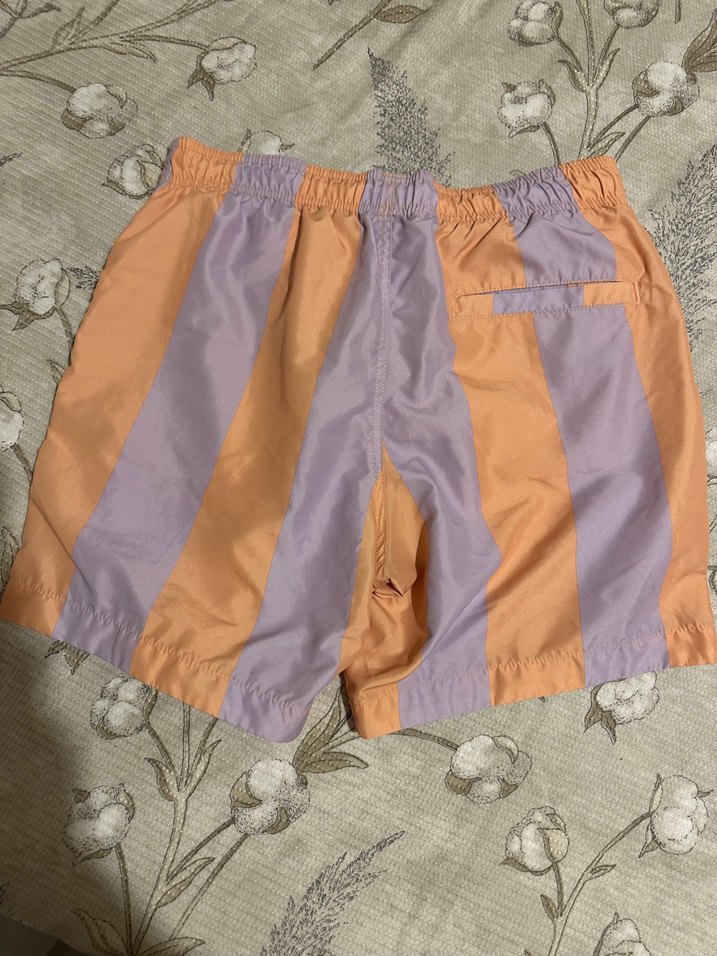 Erkek Çok Renkli Pastel Çizgili Deniz Şortu - Görsel 3