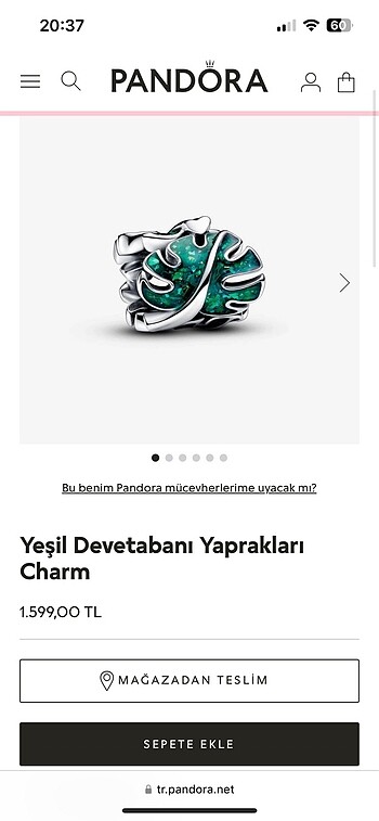 Pandora Pandora charm