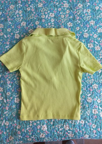 s Beden yeşil Renk Dilvin Small Yesil Tshirt Yeni Crop