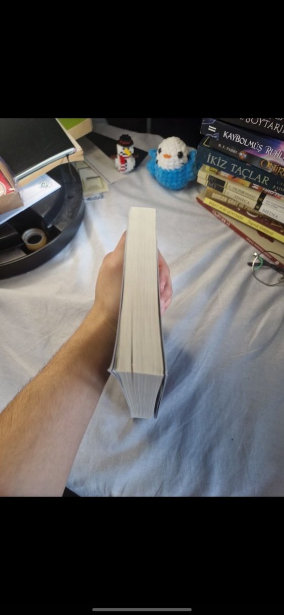 Harry Potter ve Felsefe Taşı - J.K. Rowling - Görsel 5