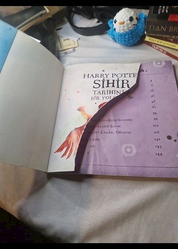 Harry Potter Sihir Tarihinde Bir Yolculuk - Görsel 3