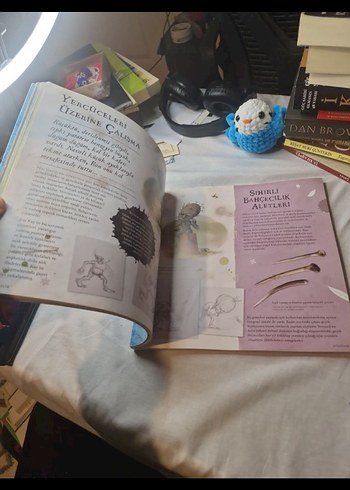 Harry Potter Sihir Tarihinde Bir Yolculuk - Görsel 2