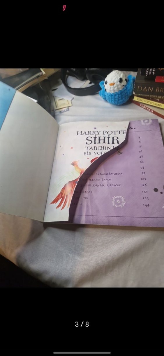 Harry Potter Sihir Tarihinde Bir Yolculuk - Görsel 3